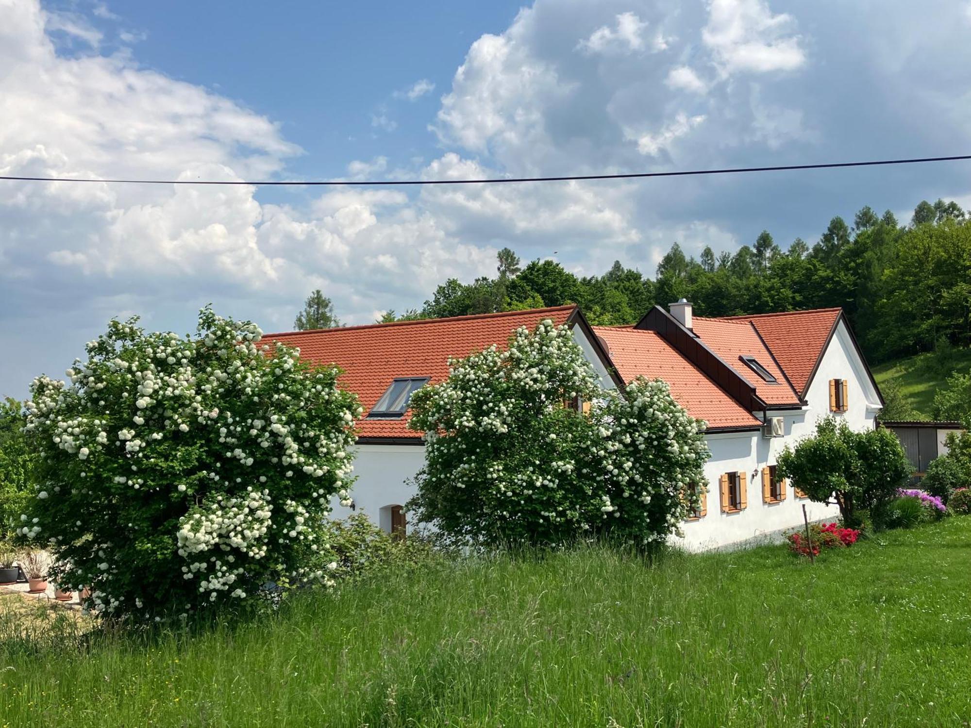 Der Hof Am Wald Villa Weichselbaum Exterior photo